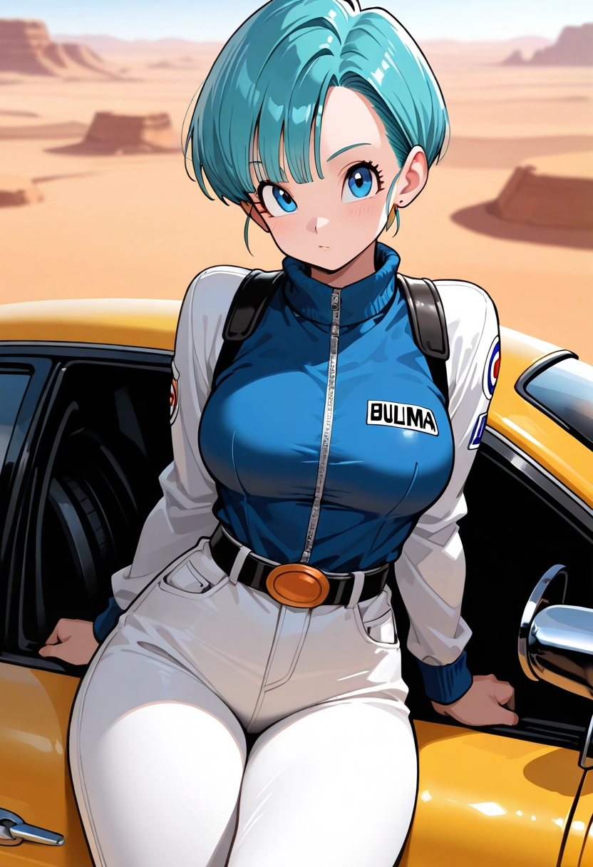 Bulma — dragon ball, female, anime, scientist, genius, bold AI roleplay character